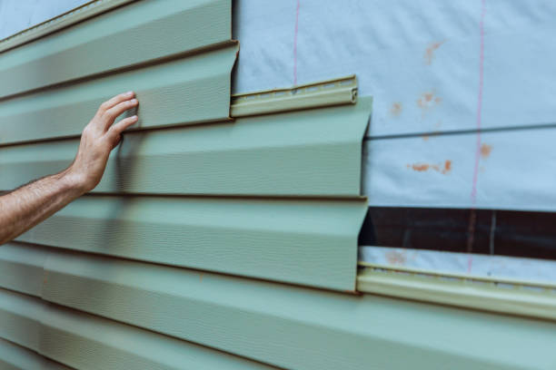 Best Insulated Siding Installation  in Detroit Lakes, MN